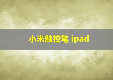 小米触控笔 ipad